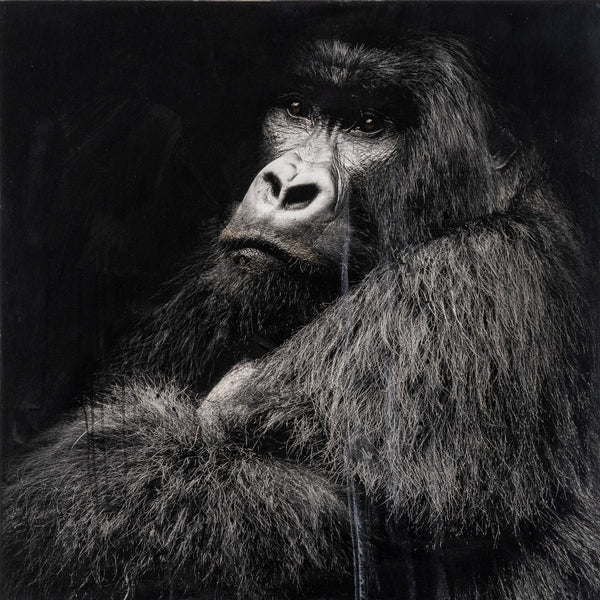 Andre Petterson artwork 'Whist' available at Bau-Xi Gallery Vancouver