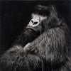 Andre Petterson artwork 'Whist' available at Bau-Xi Gallery Vancouver