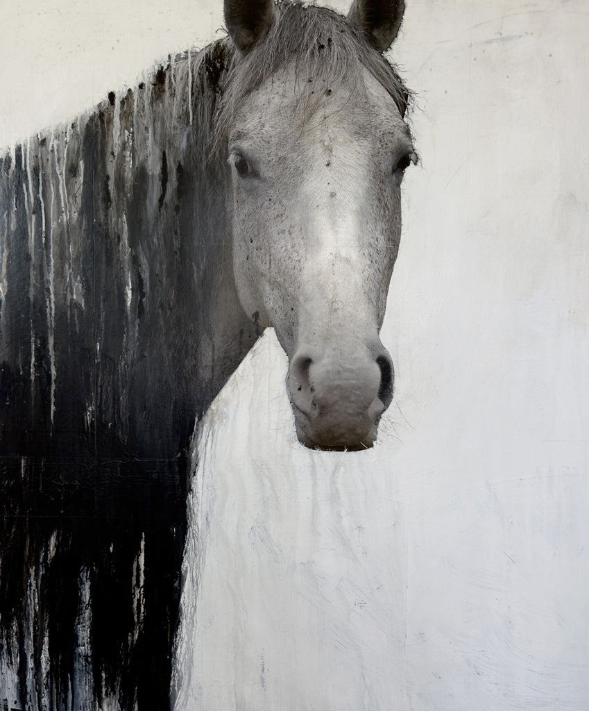 Andre Petterson artwork 'Pelerine Spill' available at Bau-Xi Gallery Vancouver