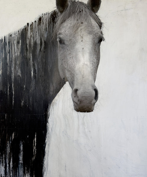 Andre Petterson artwork 'Pelerine Spill' available at Bau-Xi Gallery Vancouver