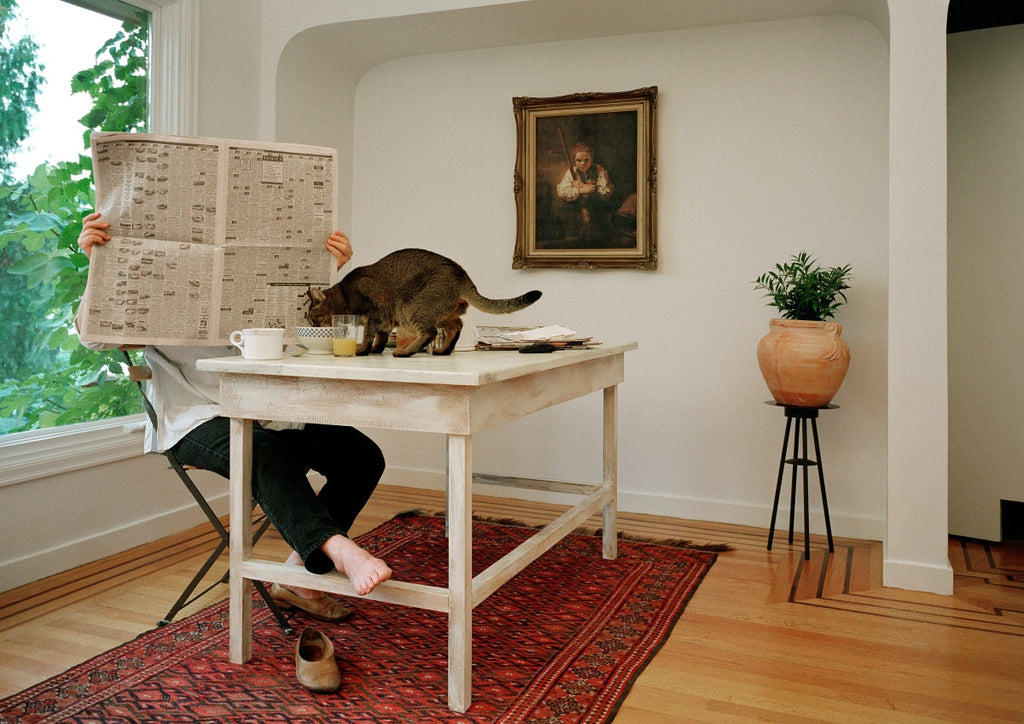 Andre Petterson artwork 'Morning' available at Bau-Xi Gallery Vancouver