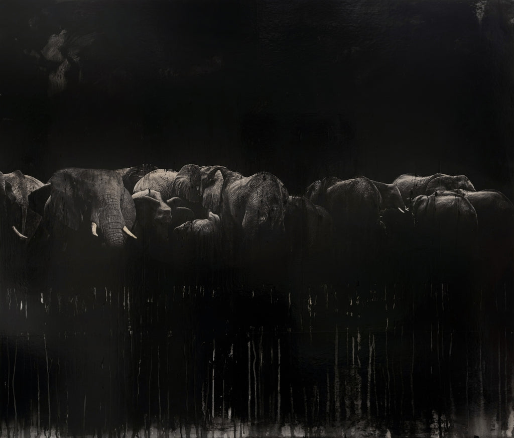 Andre Petterson artwork 'Etosha 2' available at Bau-Xi Gallery Vancouver