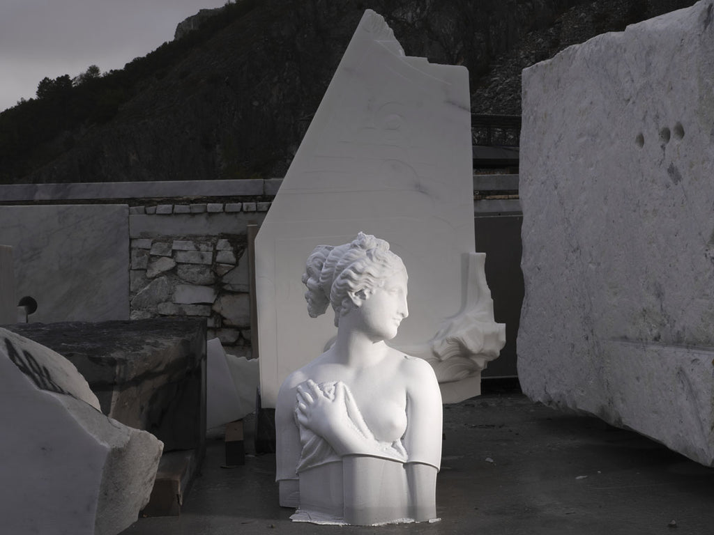 Richard Barnes artwork 'Venus Italica Robotic Malfunction, Fantiscritti, Carrara' available at Bau-Xi Gallery Vancouver
