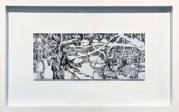 Ice Forming on Pond 1