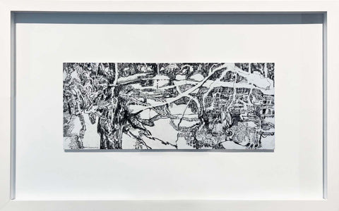 Ice Forming on Pond 1