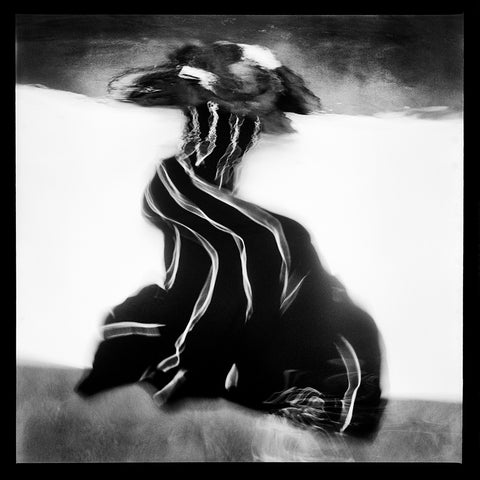 Fugitive, from Impermanence - Available in 3 sizes