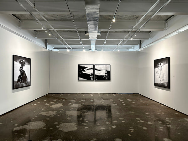Barbara Cole 'Vacillation, from Impermanence' for sale at Bau-Xi ...