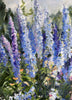 Delphinium Blue