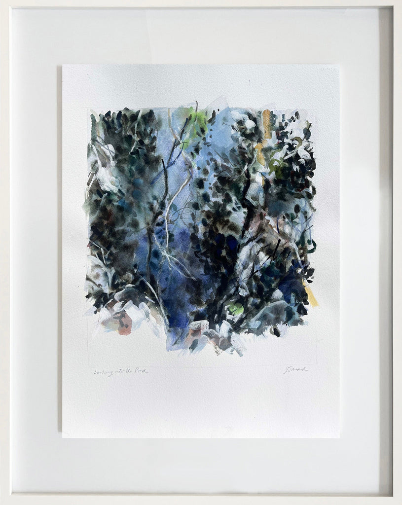 Looking into The Pond