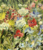 Small Meadow Poppies