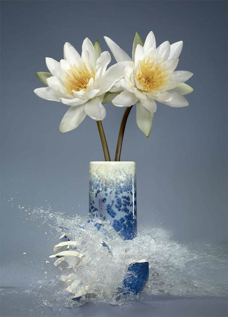 Untitled (Nymphaea Alba II) - 2 Sizes - $13,950-$22,500