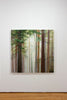 Little Sapling