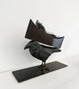Bird With Boat