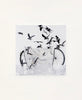 Flock