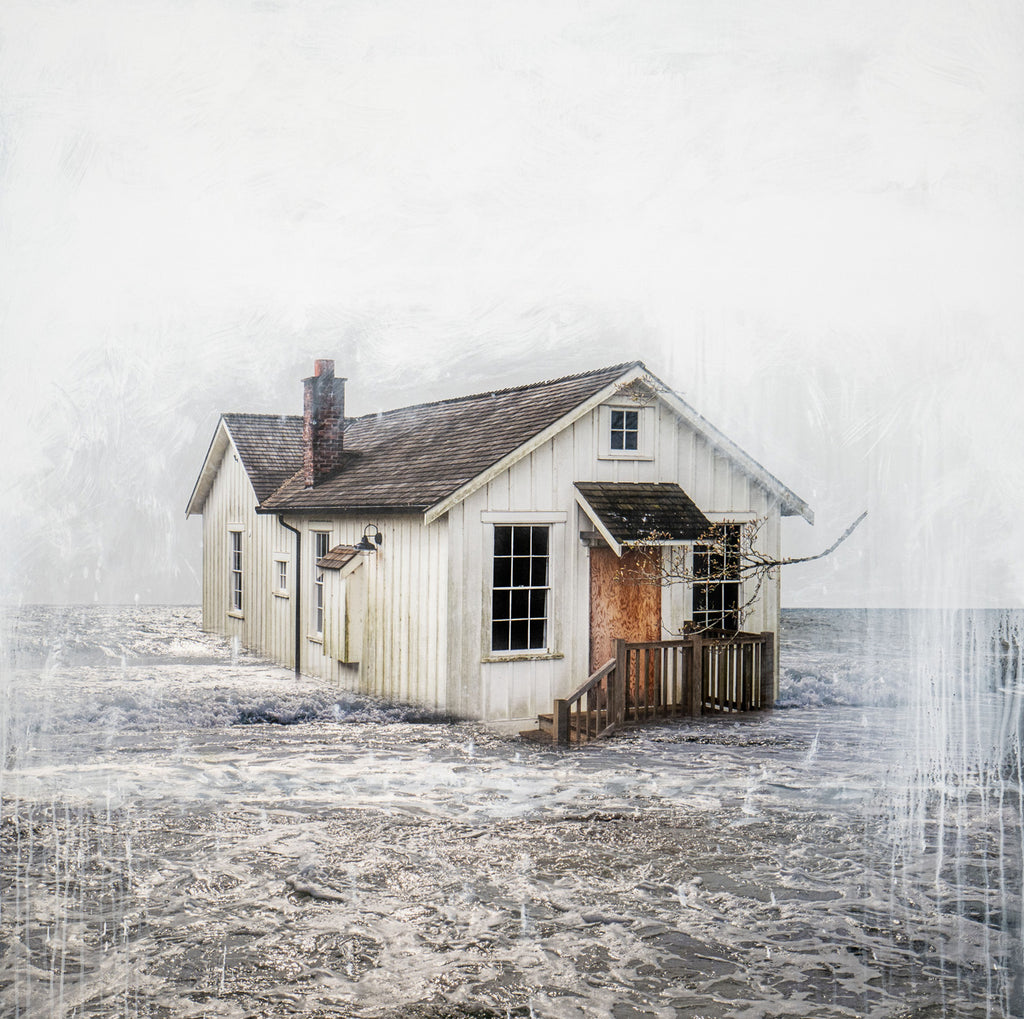Levee