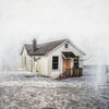 Levee