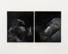 Time Share (diptych)