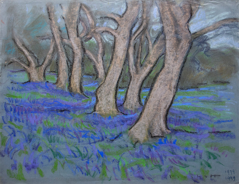 Bluebell Woods 3