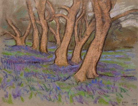 Bluebell Woods 3