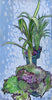 Cabbage and Two Clivia (2)