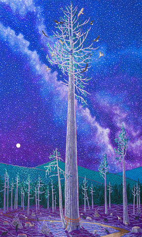 Sawdust Stardust (For E.C.)