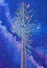 Sawdust Stardust (For E.C.)