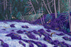 Eagle Falls
