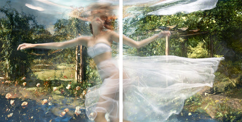 Battersea Garden Diptych, from Falling Through Time - Available in 1 size