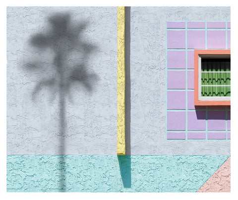 Pink Tile with Palm Tree - 4 sizes