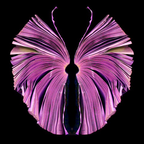 Pink Butterfly - available in 3 sizes