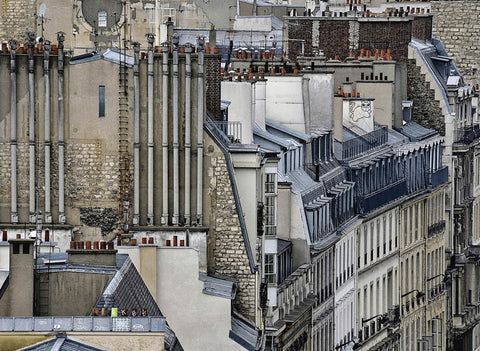 Paris Rooftops 8