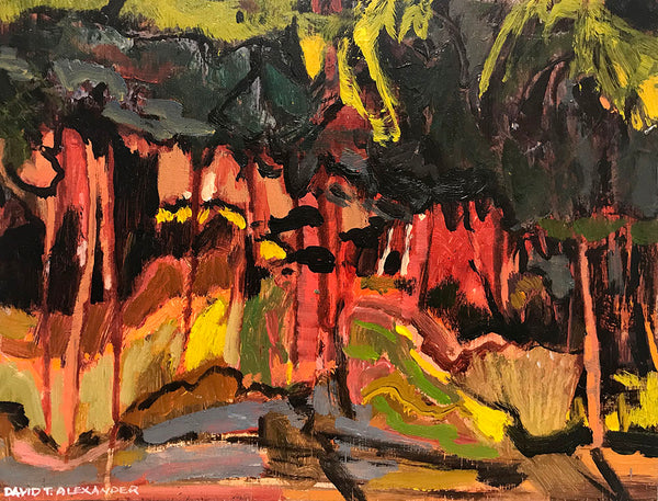 David T. Alexander Artwork | Colourful abstracts of water reflections and landscape paintings.