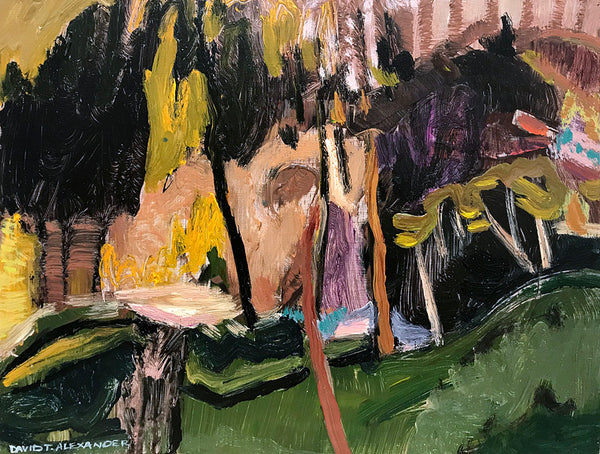 David T. Alexander Artwork | Colourful abstracts of water reflections and landscape paintings.