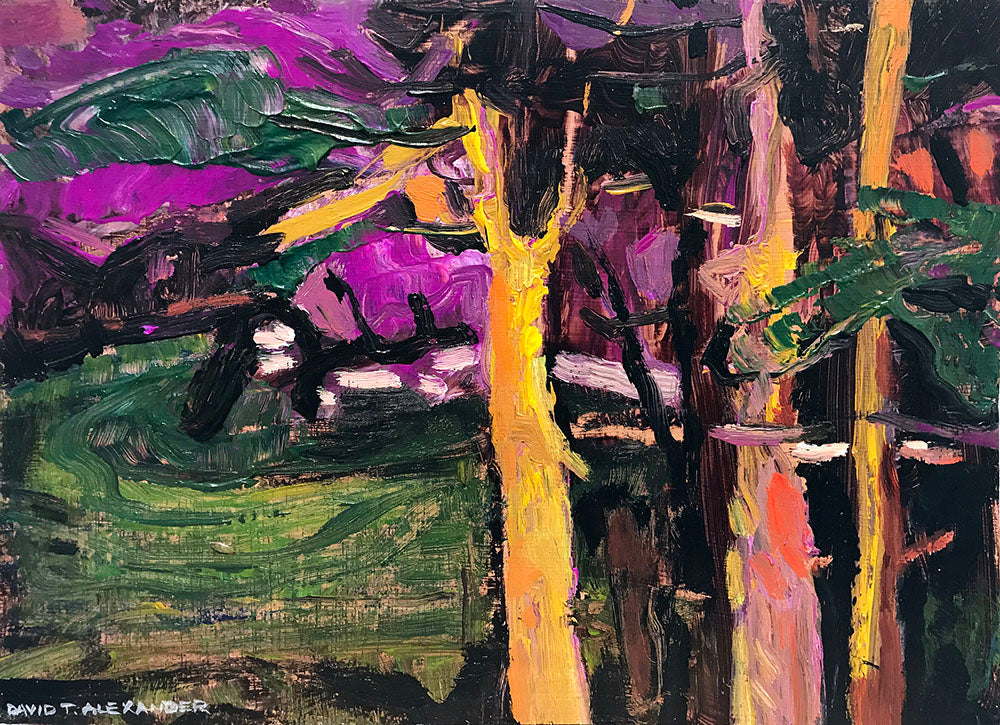 David T. Alexander Artwork | Colourful abstracts of water reflections and landscape paintings.