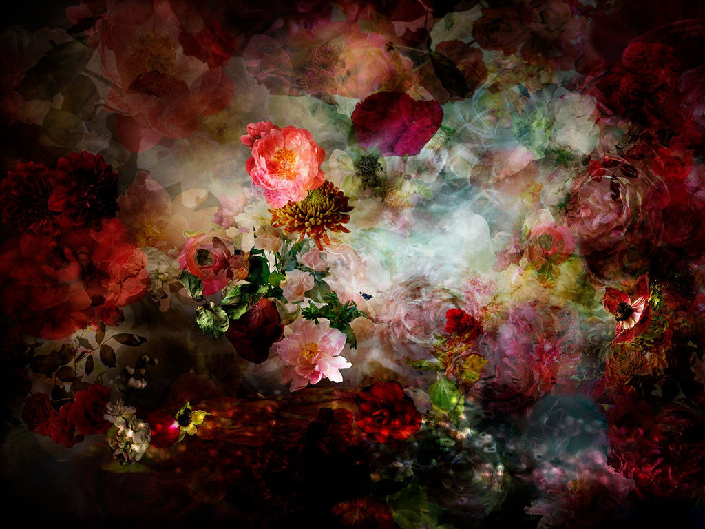 Isabelle Menin | Thereâ€™s A River In My Head 11 | Colourful, dramatic, painterly, abstract composite photographs of flowers and fruit.