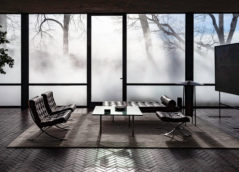 Interior View with Mies, Glass House - Available in 3 Sizes