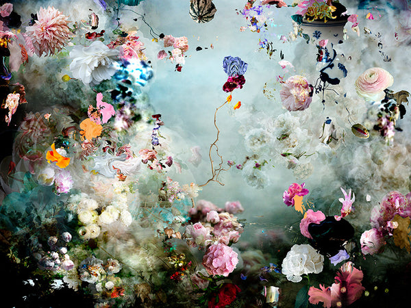 Isabelle Menin - Solstice #11- abstract floral landscape photography for  Sale