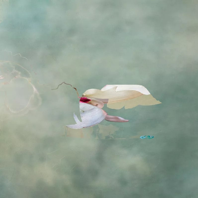 Isabelle Menin artwork 'Floating Angels 08' available at Bau-Xi Gallery Toronto, Ontario