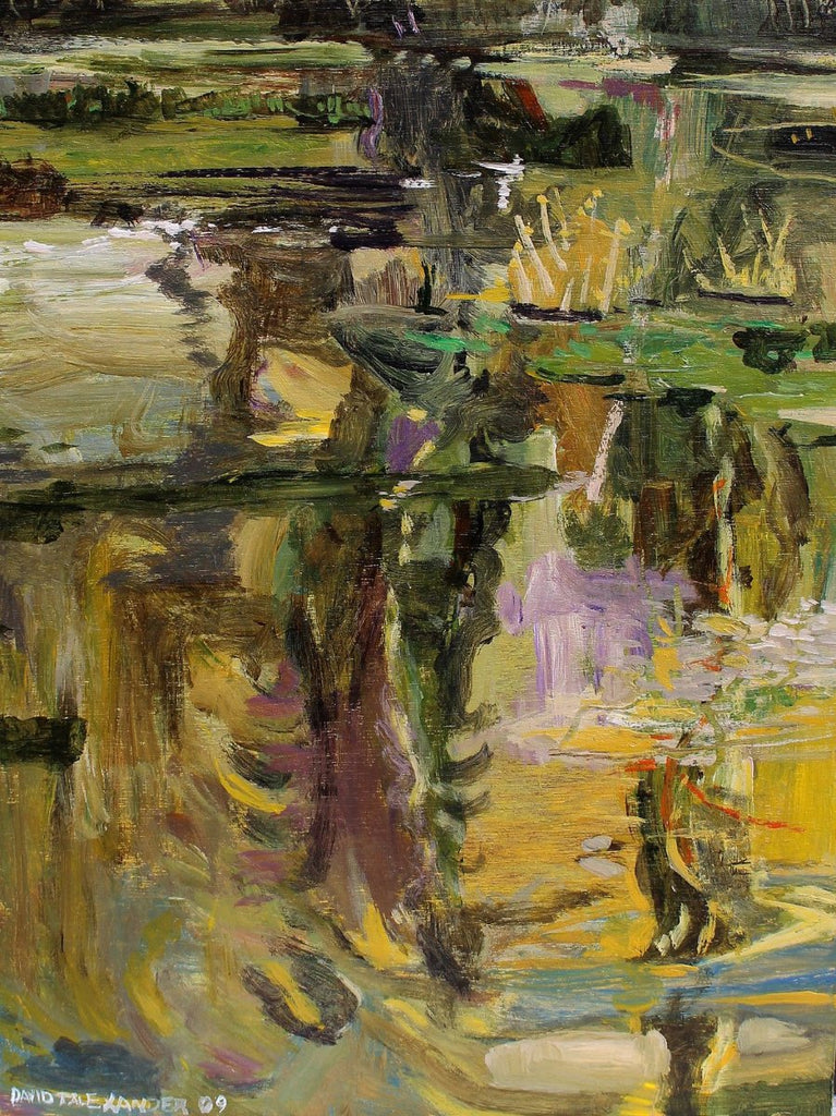 David T. Alexander Artwork | Colourful abstracts of water reflections and landscape paintings.
