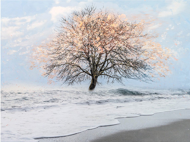 Andre Petterson artwork 'Morning Breeze' available at Bau-Xi Gallery Vancouver