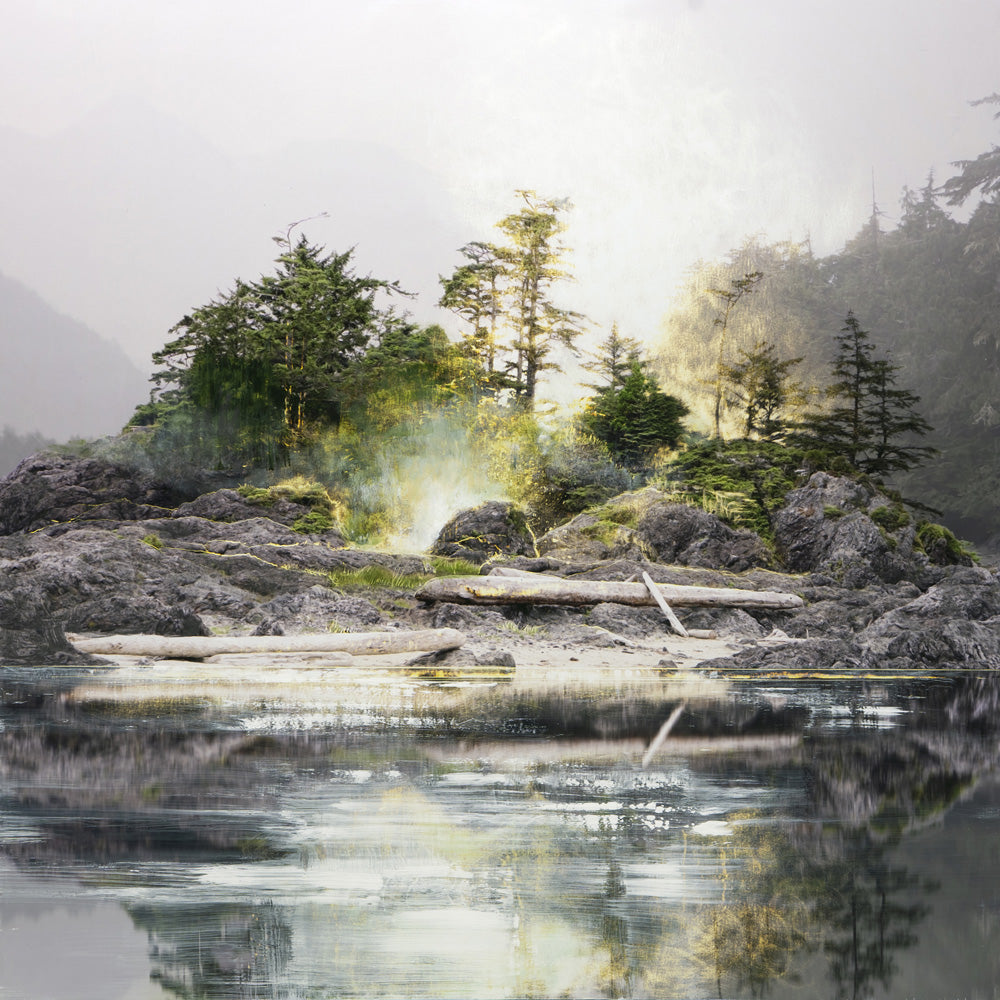 Steven Nederveen artwork 'Still Haven' available at Bau-Xi Gallery Vancouver