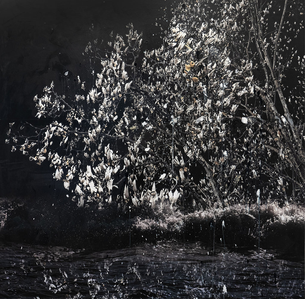 Andre Petterson artwork 'Early Morning Bloom' available at Bau-Xi Gallery Vancouver