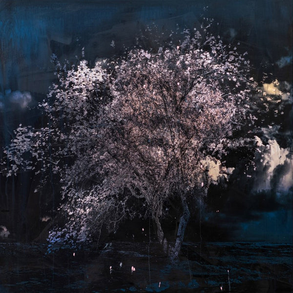 Andre Petterson artwork 'Moon Light' available at Bau-Xi Gallery Vancouver