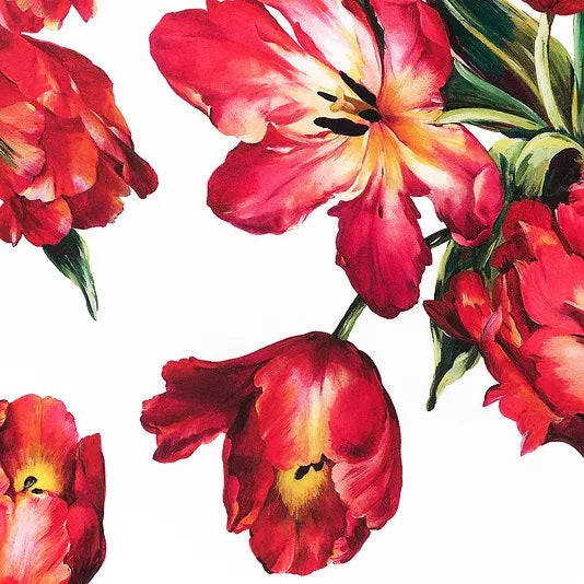 Dolce and Gabbana's Tulips - 4 sizes