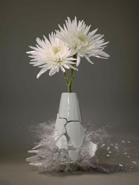 Untitled (Chrysanthemum V) - 31x24 in. - $4,850
