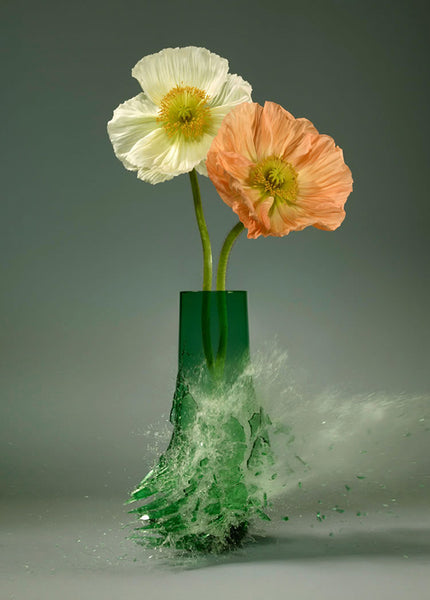Untitled (Papaver Green) - 2 Sizes - $13,950-$22,500