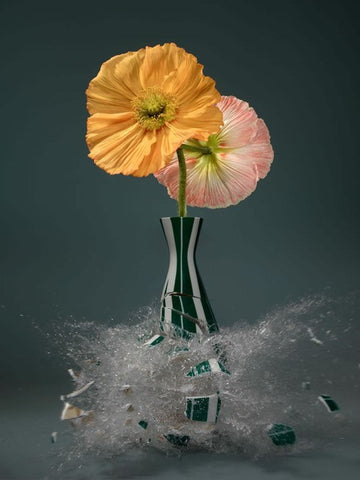 Untitled (Papaver XII) - 31X24 in. - $4,850