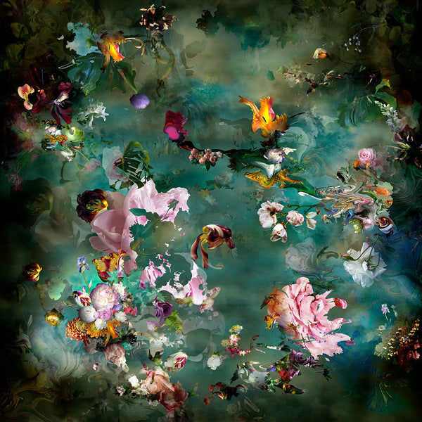 Isabelle Menin Artwork | Colourful, dramatic, painterly, abstract composite photographs of flowers and fruit.