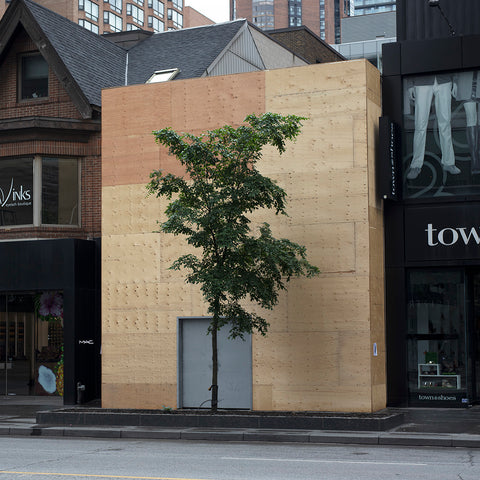 Yorkville Hoarding and Tree - 3 sizes