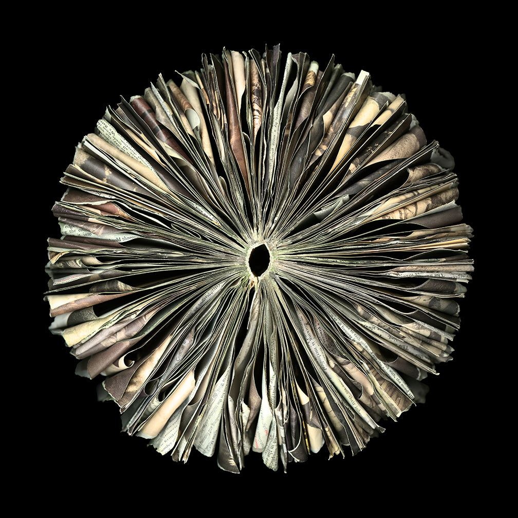 Cara Barer Artwork | Colourful and monochromatic photography orbs circular and organic abstract book art sculpture.
